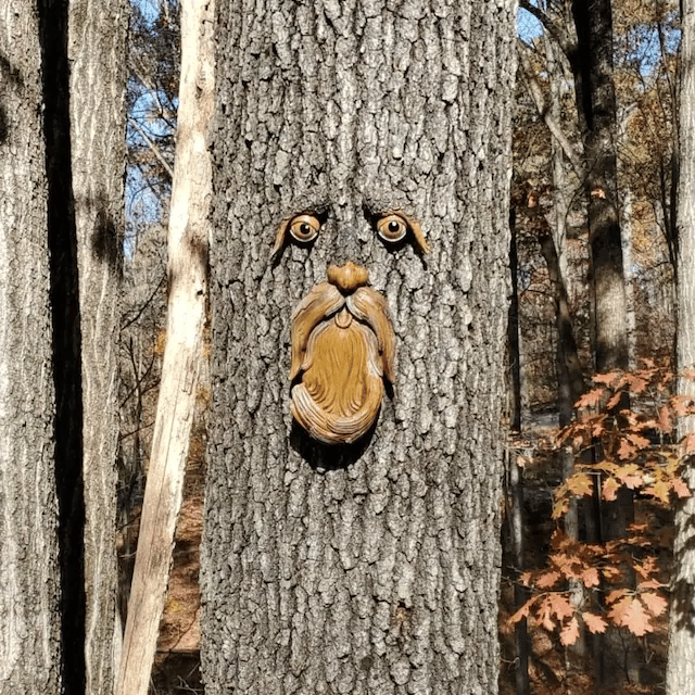 🌳Outdoor Tree Bird Feeder🐦