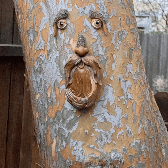 🌳Outdoor Tree Bird Feeder🐦