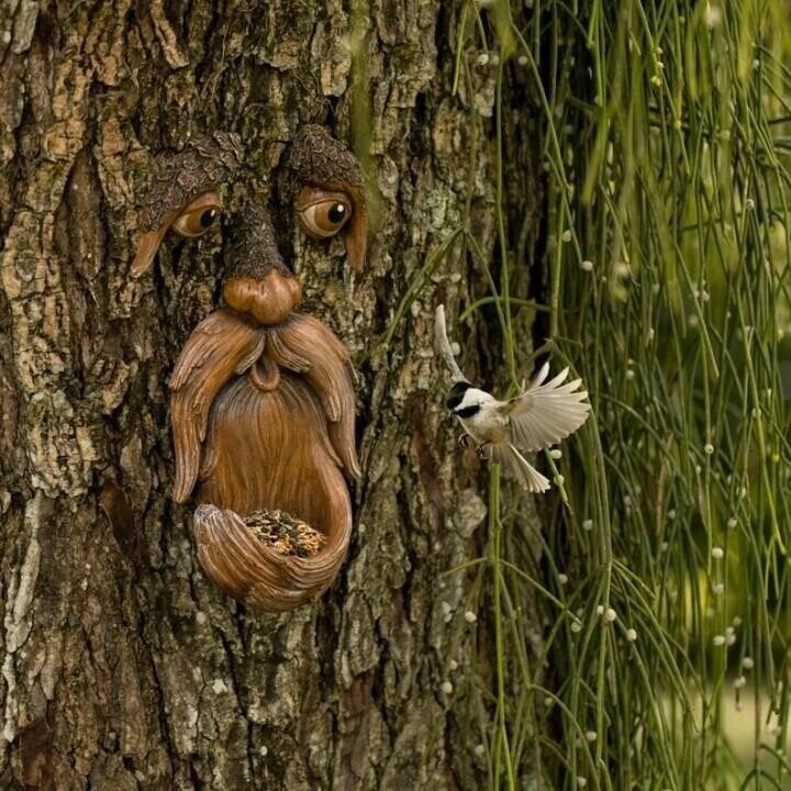 🌳Outdoor Tree Bird Feeder🐦