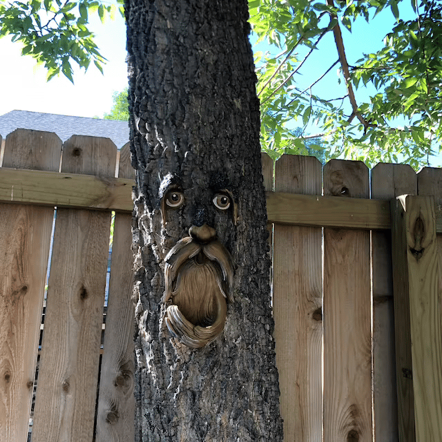🌳Outdoor Tree Bird Feeder🐦