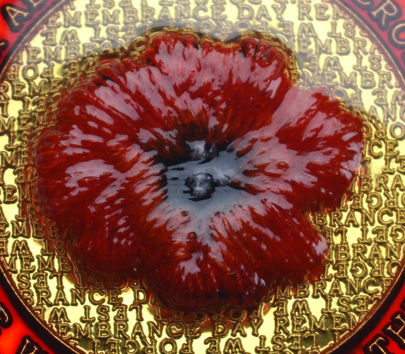 🕊️ Armistice Commemorative Poppy Badge 🌺